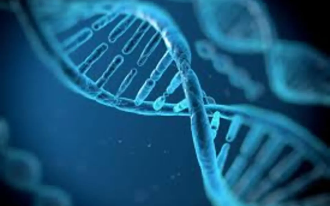 Vor Biopharma Stock Analysis: A High-Risk, High-Reward Bet