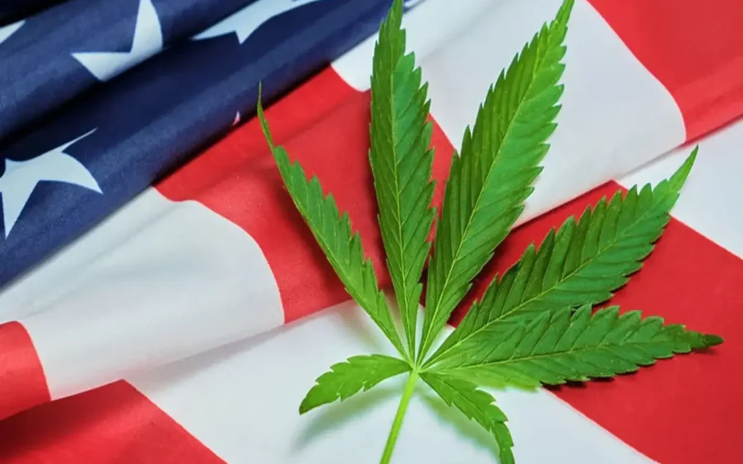 Tilray Stock (TLRY): A “Falling Knife” Analysis
